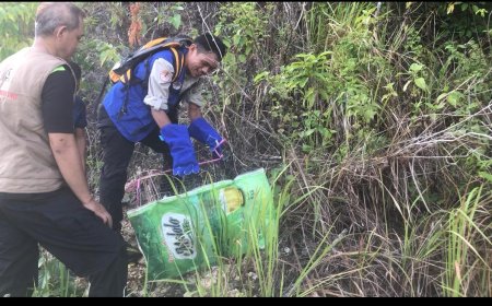 Aksi Perlindungan dan Penyelamatan Satwa Liar Kuskus Beruang