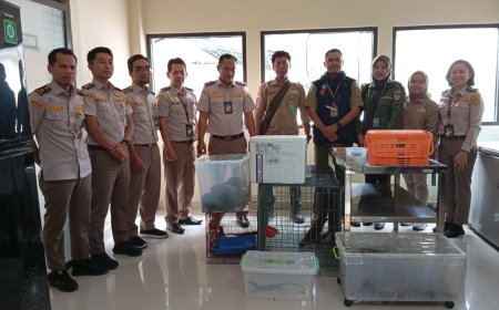 Serah Terima Satwa Hasil Penahanan Karantina di Sulawesi Selatan