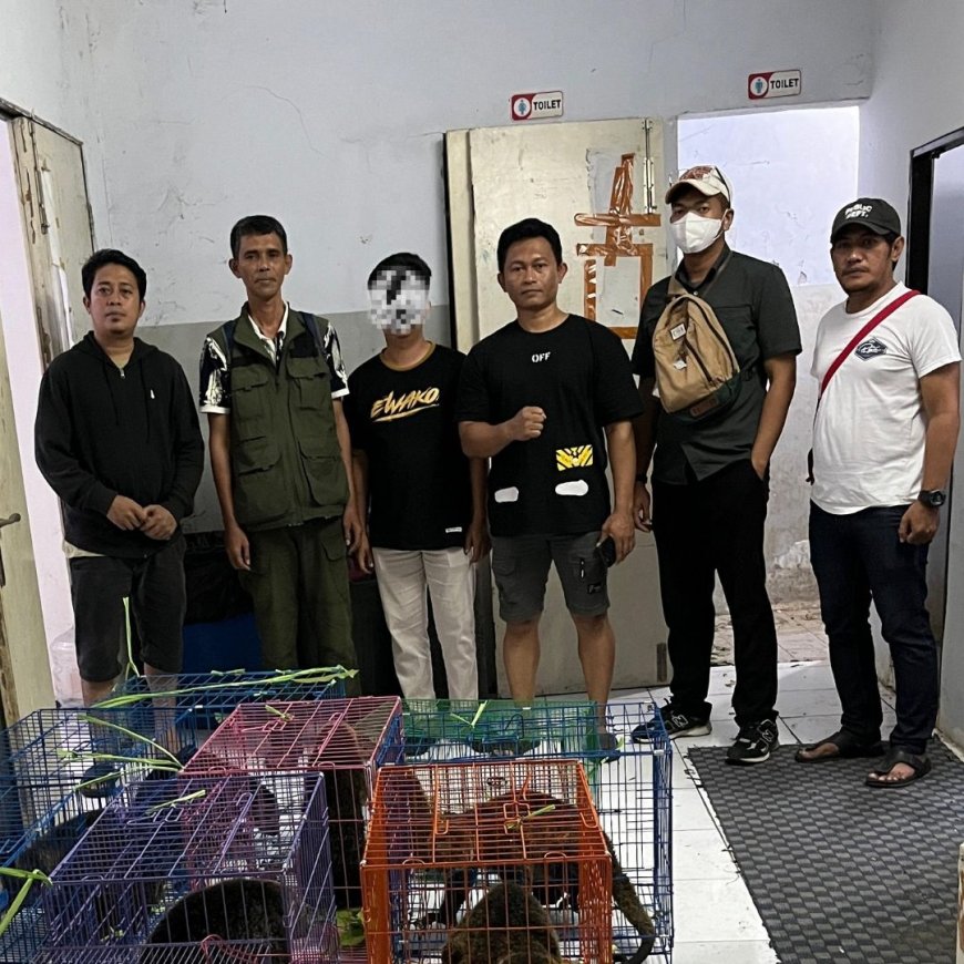 Balai Besar KSDA Sulawesi Selatan dan Balai Gakkumhut Sulawesi Gagalkan Perdagangan Satwa Liar