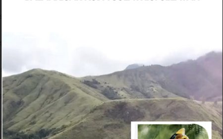 Laporan Kinerja Tahun 2025