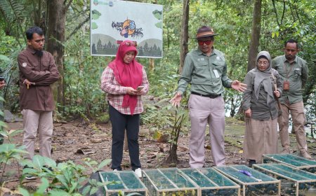 Ratusan Sayap Kembali Mengepak di Habitat Aslinya   
