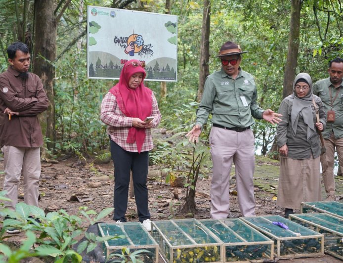 Ratusan Sayap Kembali Mengepak di Habitat Aslinya   