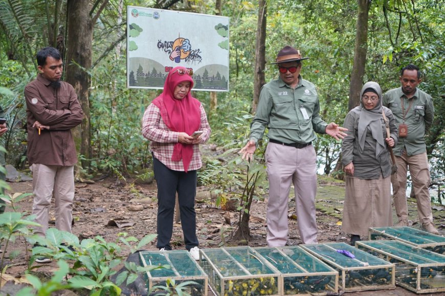 Ratusan Sayap Kembali Mengepak di Habitat Aslinya   