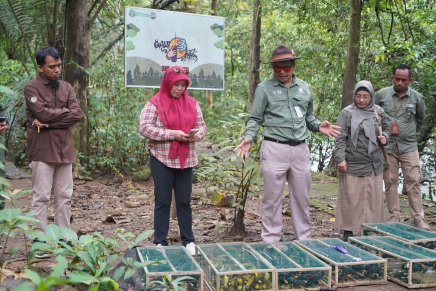 Ratusan Sayap Kembali Mengepak di Habitat Aslinya   
