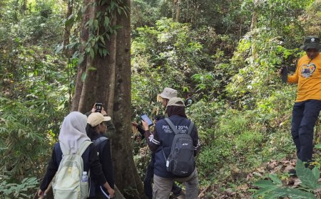 Dari Eboni hingga Monyet Dare: Hasil Inventarisasi Mahasiswa PKL di Suaka Margasatwa Ko'mara