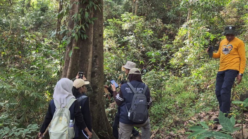 Dari Eboni hingga Monyet Dare: Hasil Inventarisasi Mahasiswa PKL di Suaka Margasatwa Ko'mara