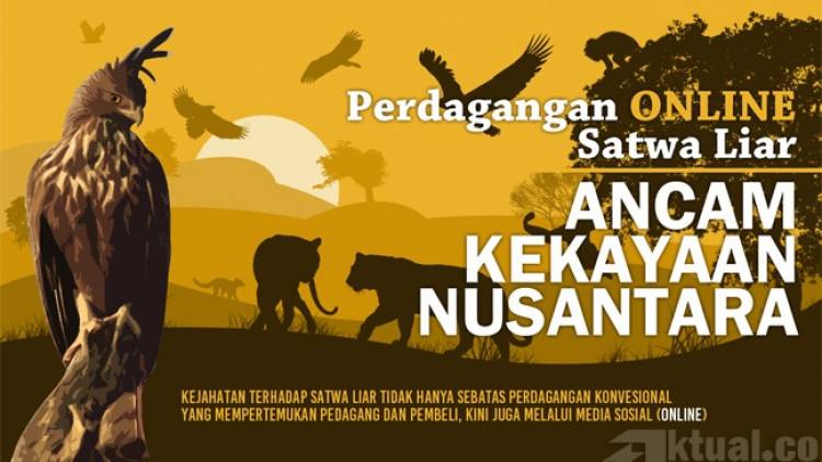 Perdagangan Satwa Liar Dilindungi Tetap Marak di Facebook, Bagaimana Mengatasinya?