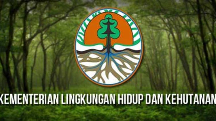 PANGGILAN YANG DINYATAKAN LULUS TENAGA TEKNIS FOREST PROGRAMME IV MAMASA-SULAWESI
