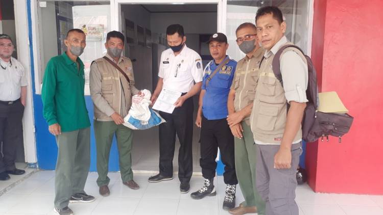 Balai Besar KSDA Sulsel Lepasliarkan Ular Sanca Batik Serahan Damkar Kabupaten Bone